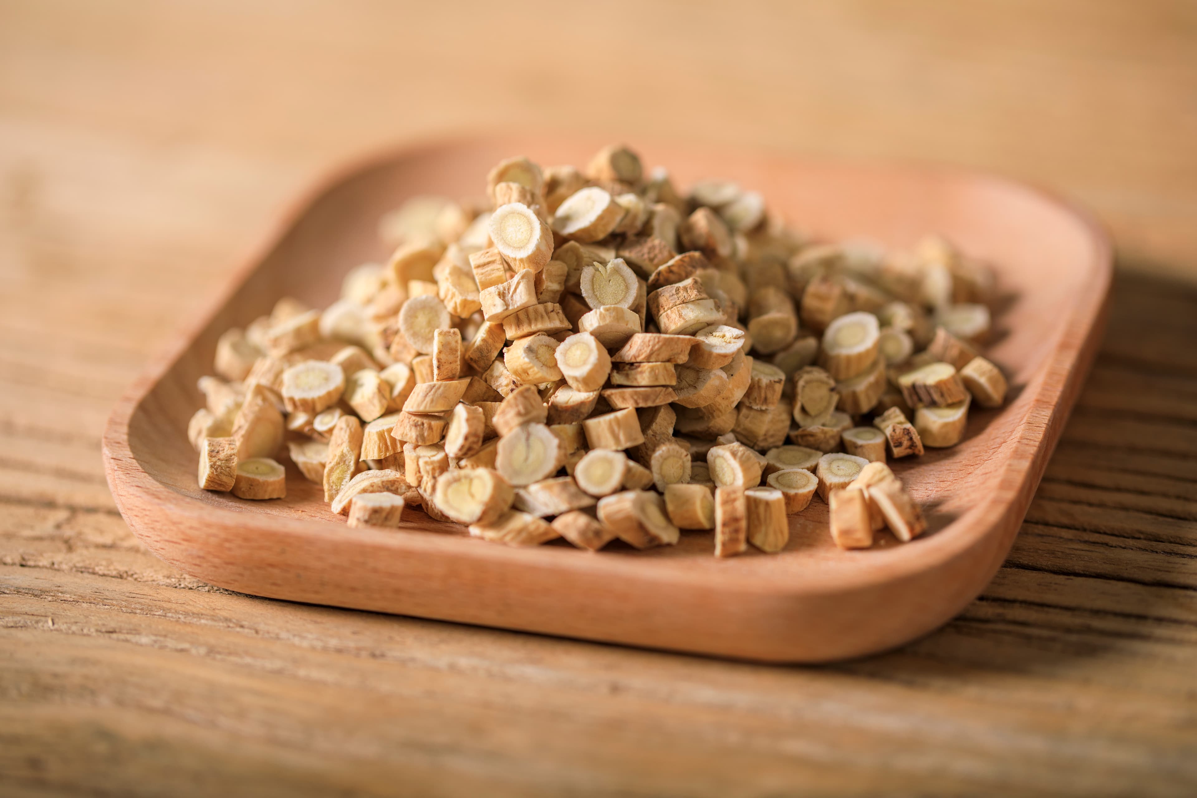 Astragalus