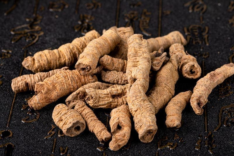 Morinda (Ba Ji Tian)