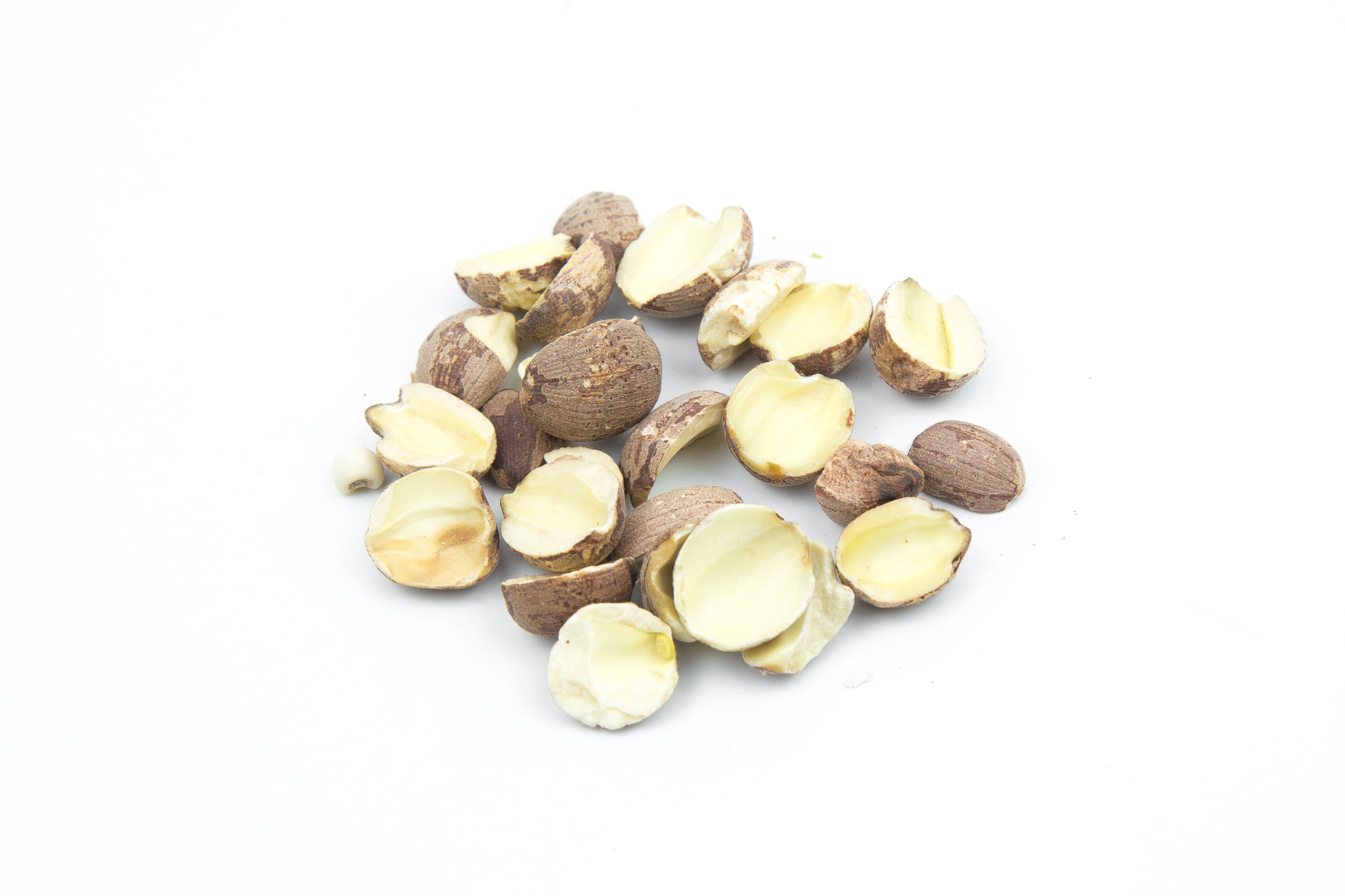 Ginkgo Nut (Bai Guo Ren)