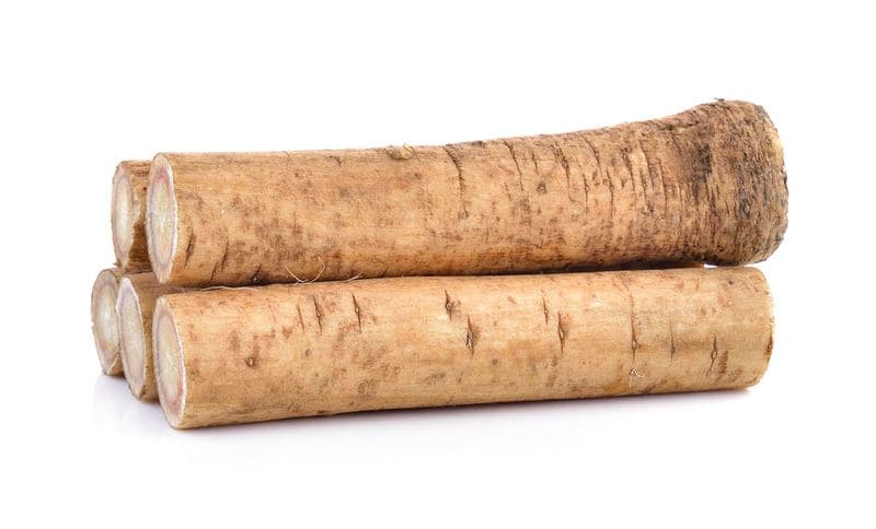 Burdock Root