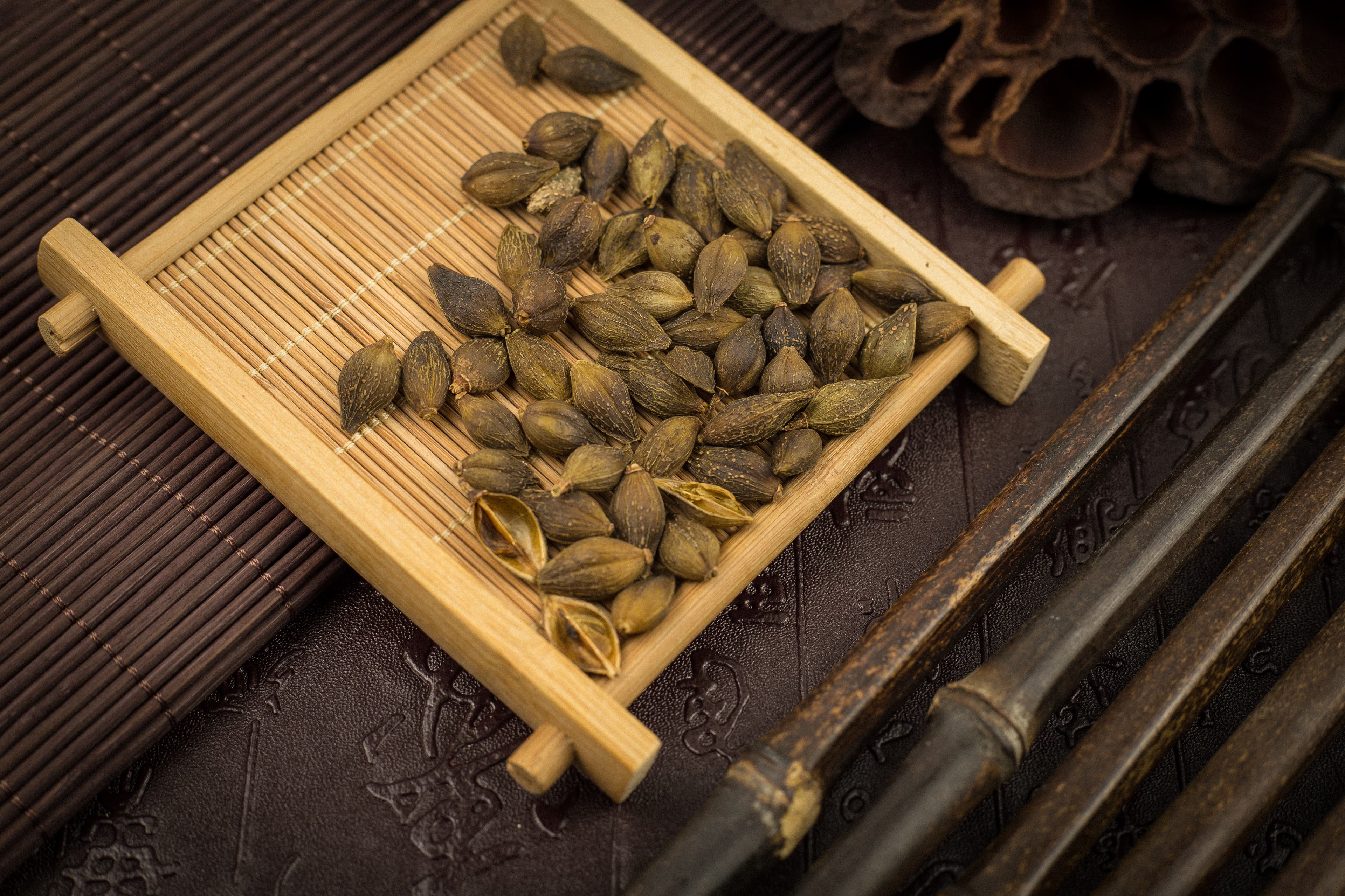 Cocklebur Fruit (Cang Er Zi)