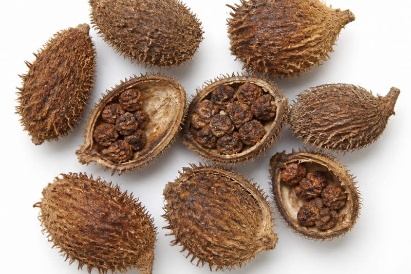 Cardamom