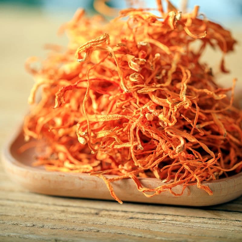 Cordyceps Flower