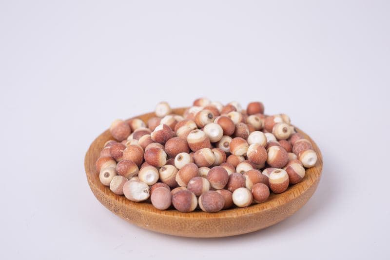 Euryale Seed