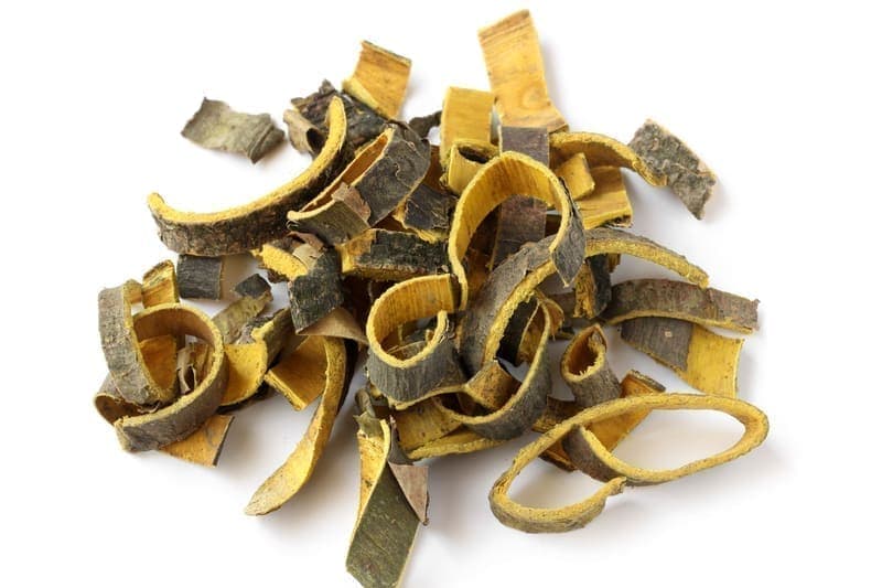 Phellodendron Bark (Huang Bo)