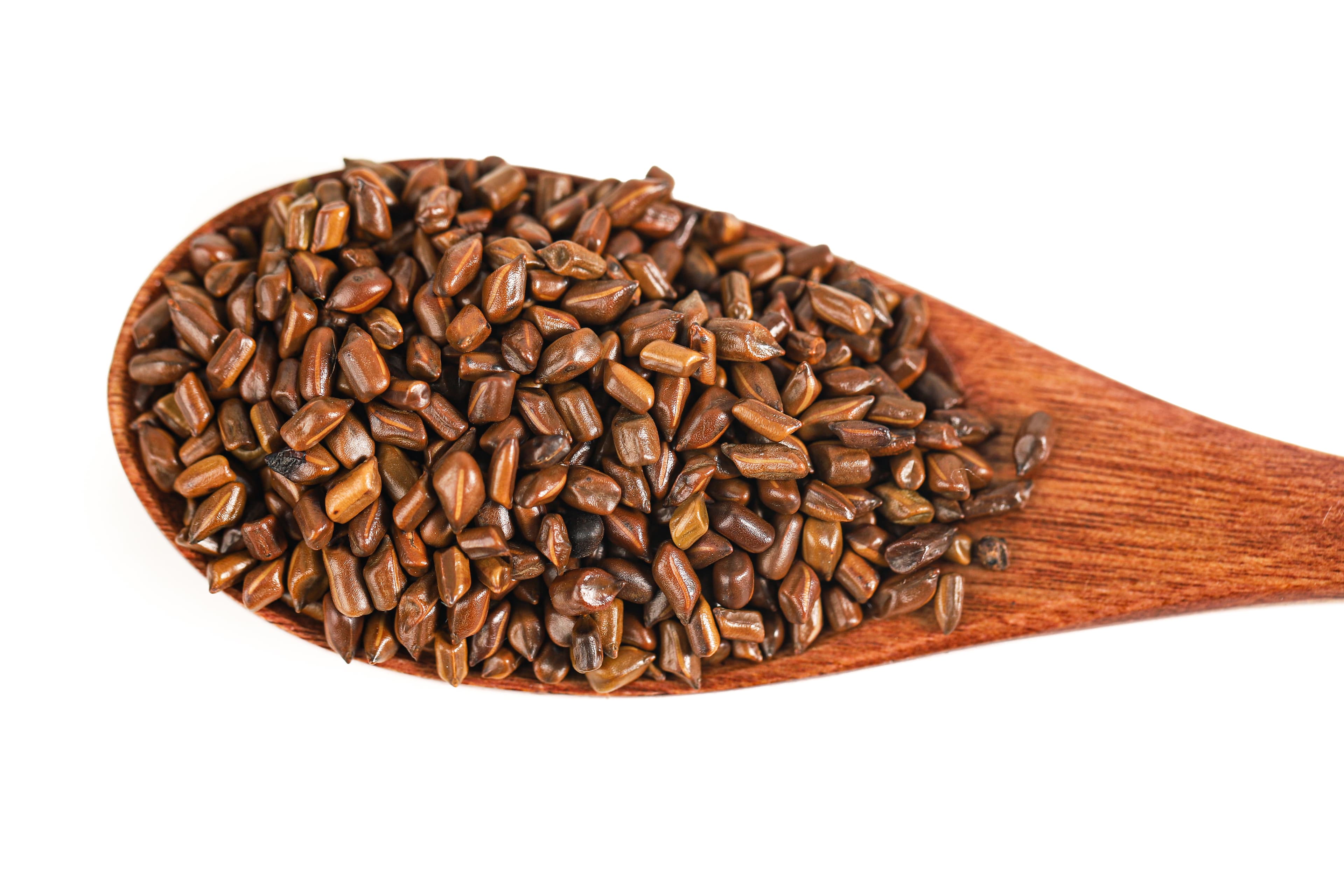 Cassia Seed (Jue Ming Zi)