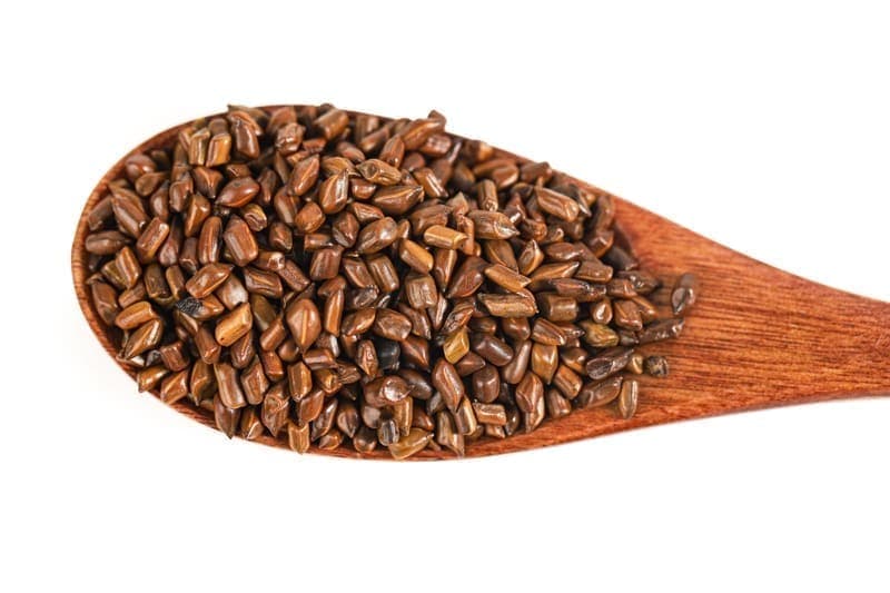 Cassia Seed (Jue Ming Zi)