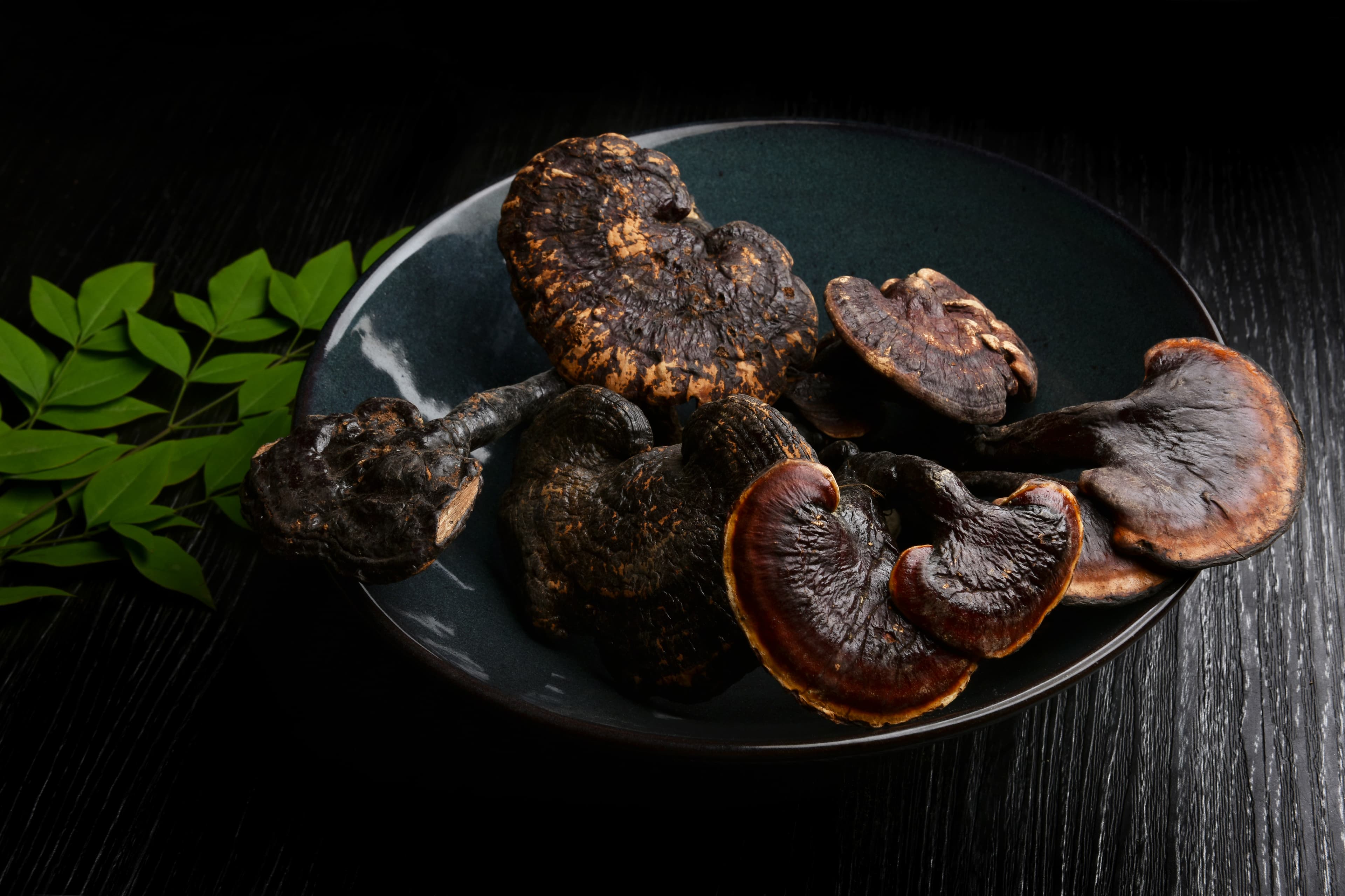 Reishi Mushroom (Ling Zhi)