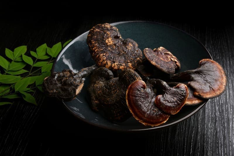 Reishi Mushroom (Ling Zhi)