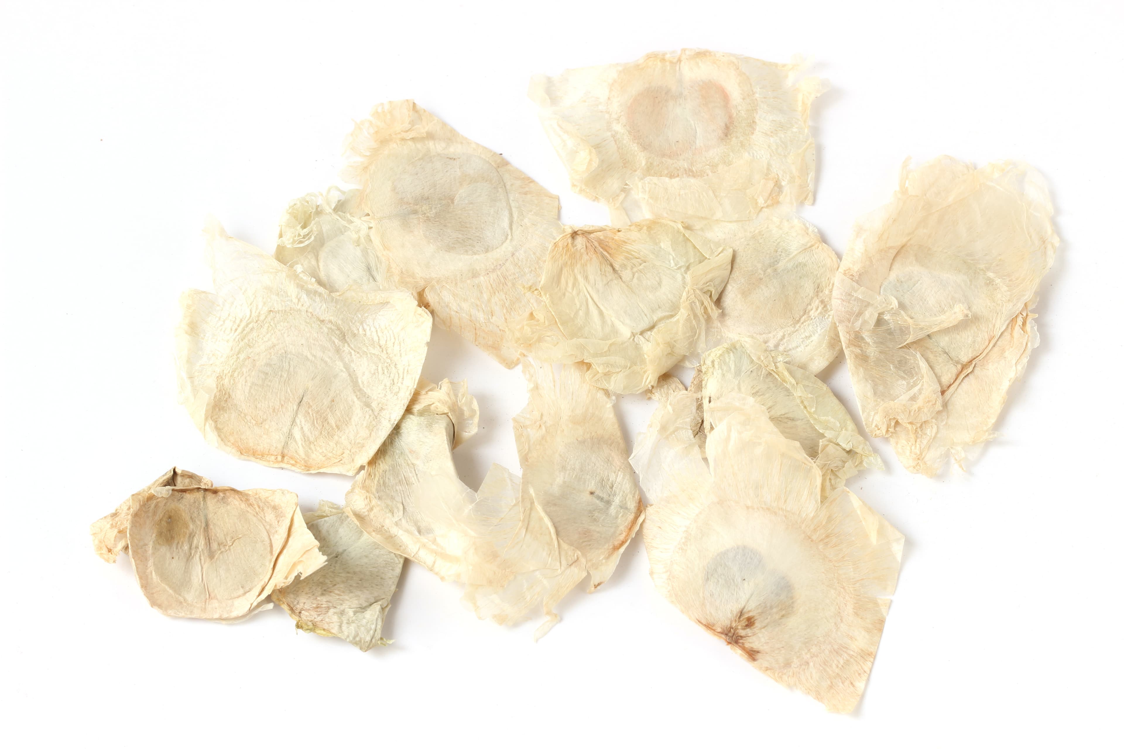 Oroxylum Seed (Mu Hu Die)