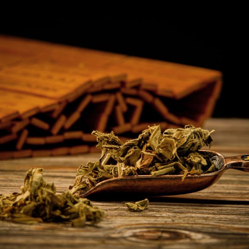 Mugwort