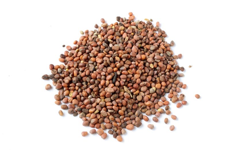 Radish Seed (Lai Fu Zi)