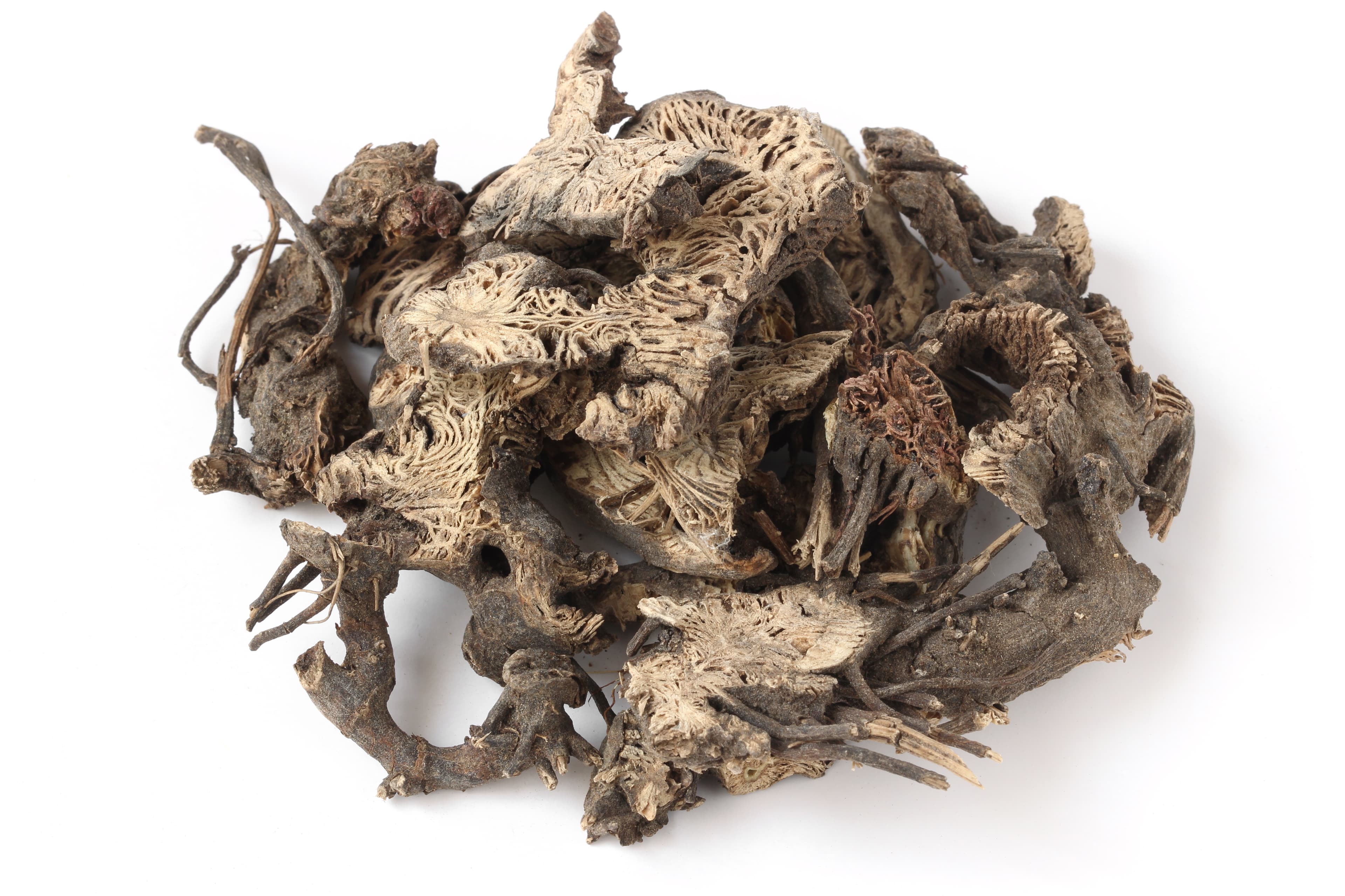 Cimicifuga (Sheng Ma)