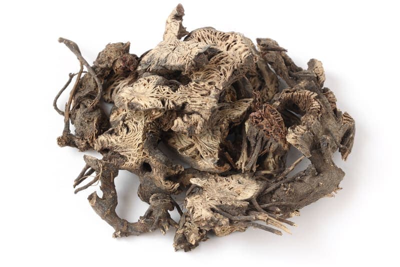 Cimicifuga (Sheng Ma)