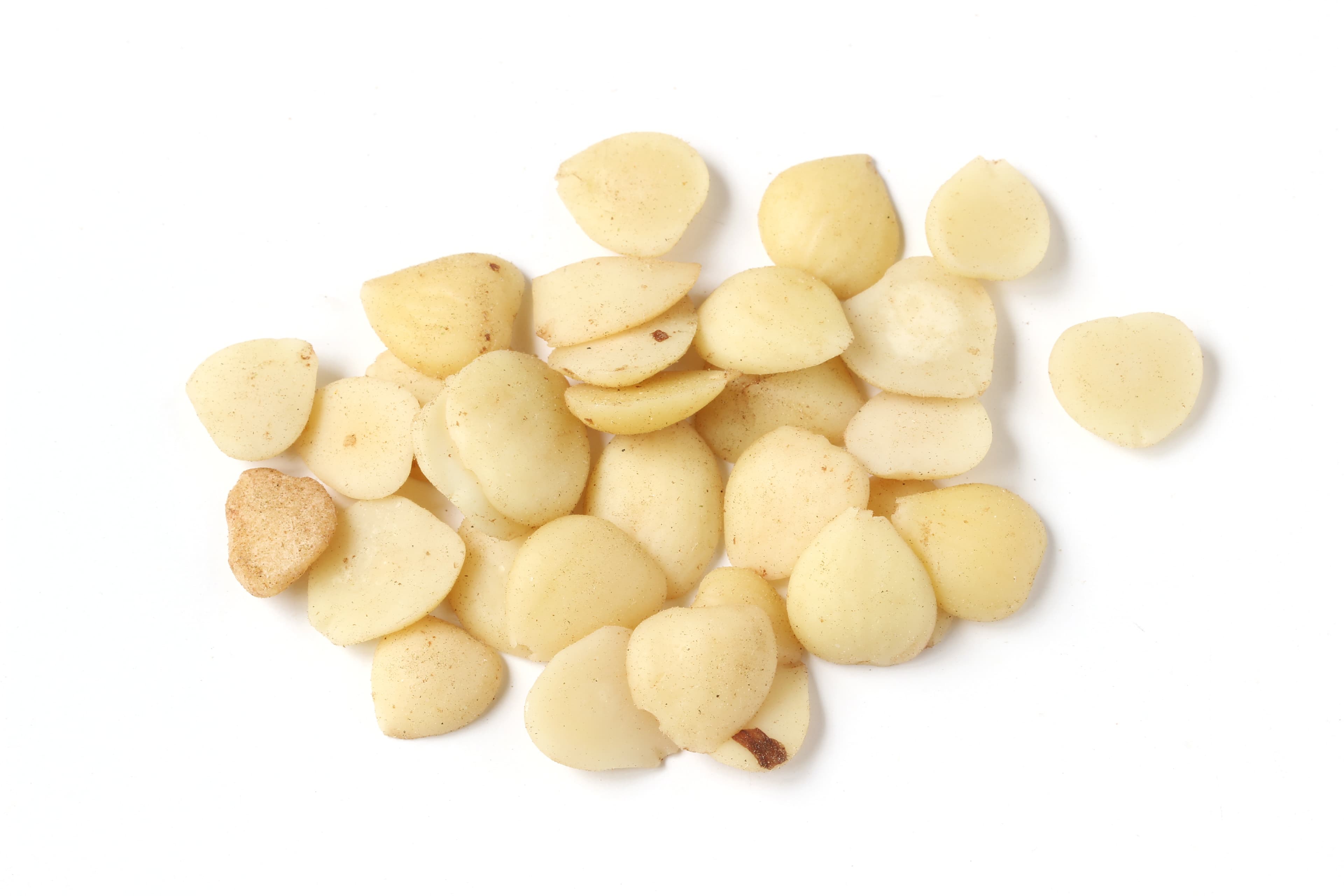 Apricot Kernel (Xing Ren)