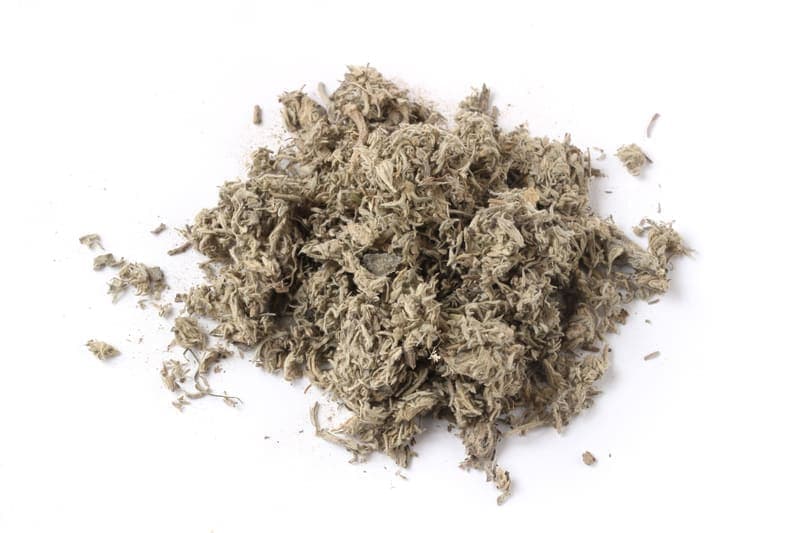 Capillary Wormwood (Yin Chen)
