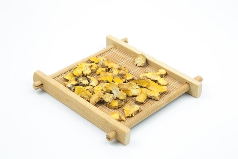Polyporus (Zhu Ling)