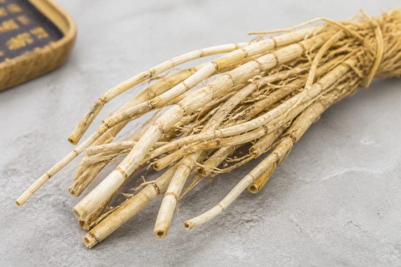 Cogon Grass Root