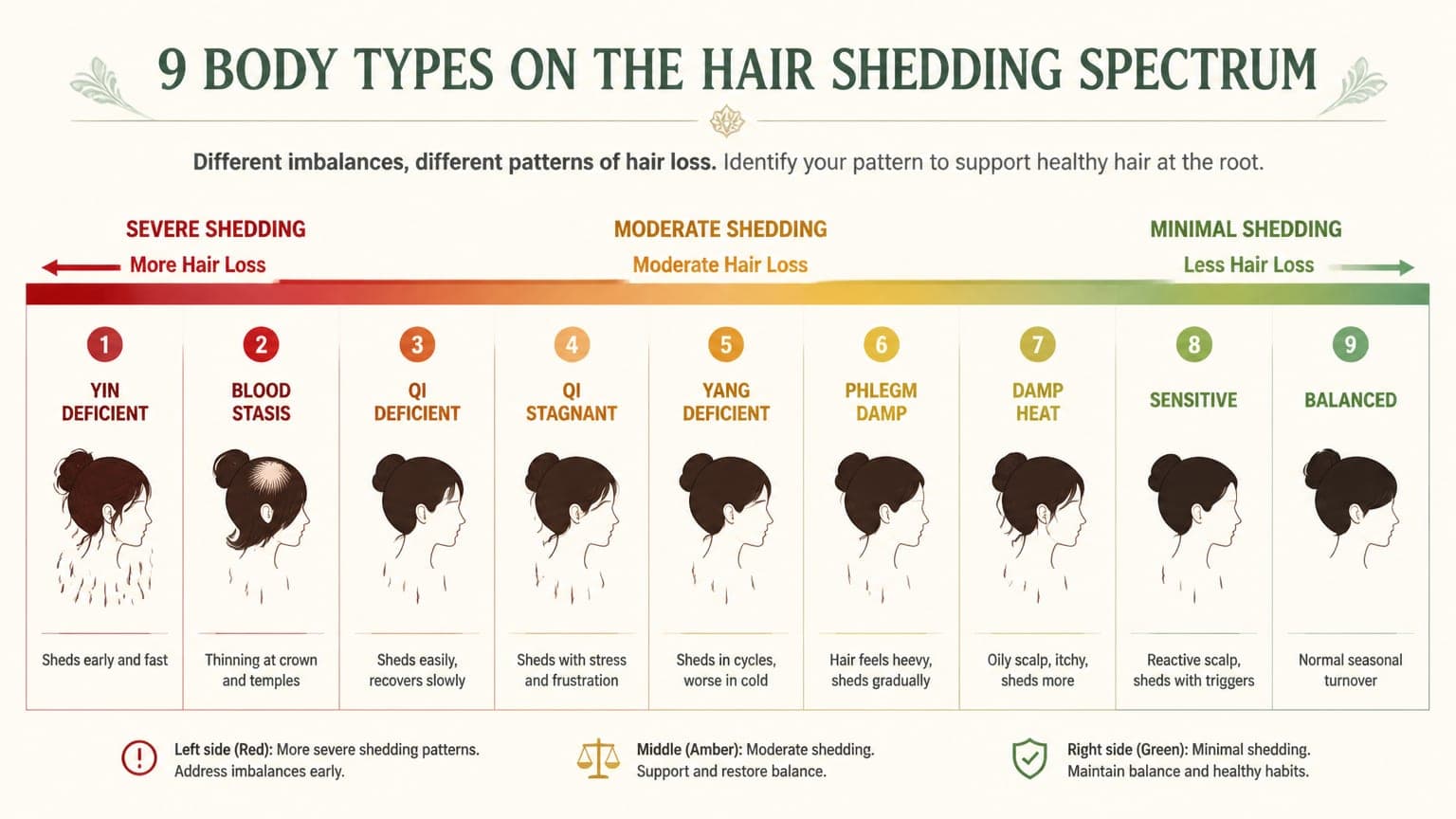 Autumn hair shedding risk by body type